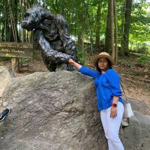 Meet your Posher, Romi